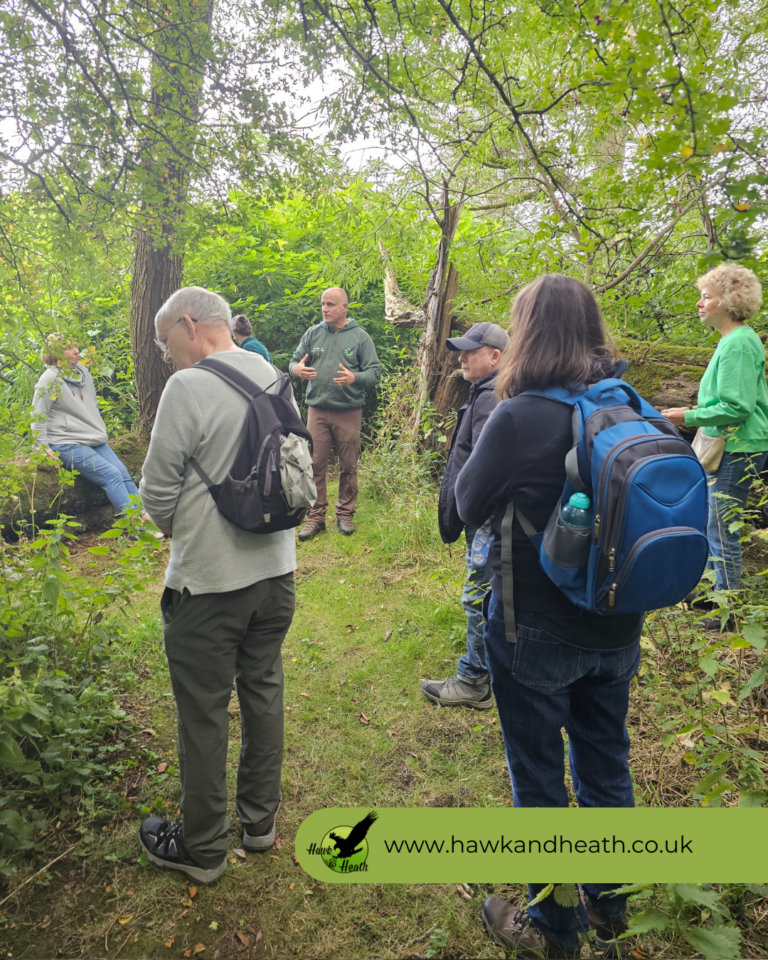 Hawk and Heath - Photo of a group walking in the woods